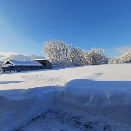 Ferienwohnung Geierstein Wackersberg المظهر الخارجي الصورة