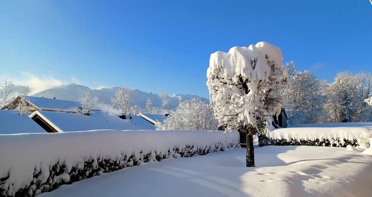 Ferienwohnung Geierstein Wackersberg المظهر الخارجي الصورة